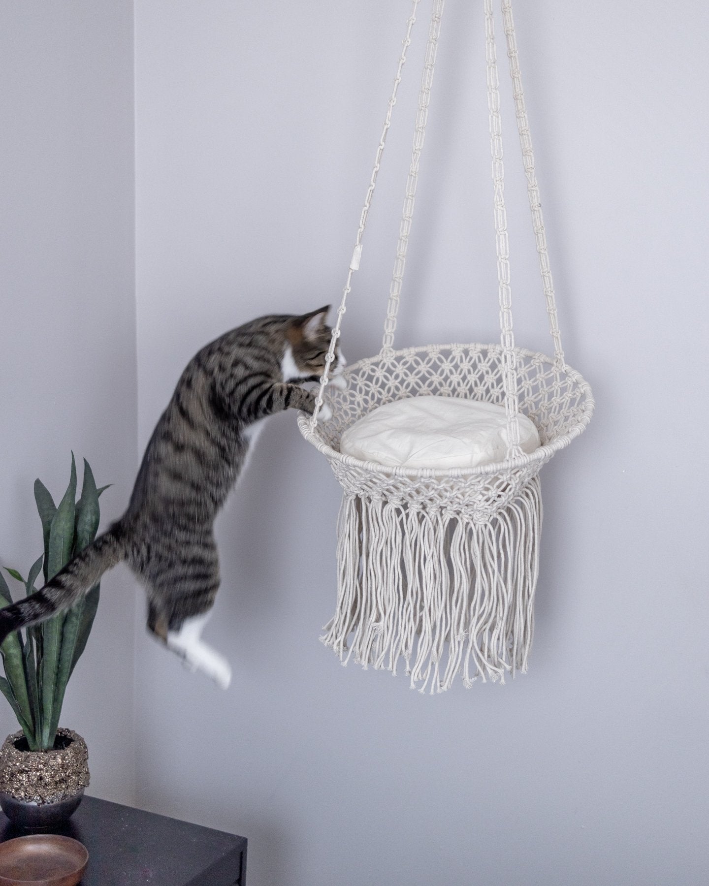 Macrame cat bed online pattern