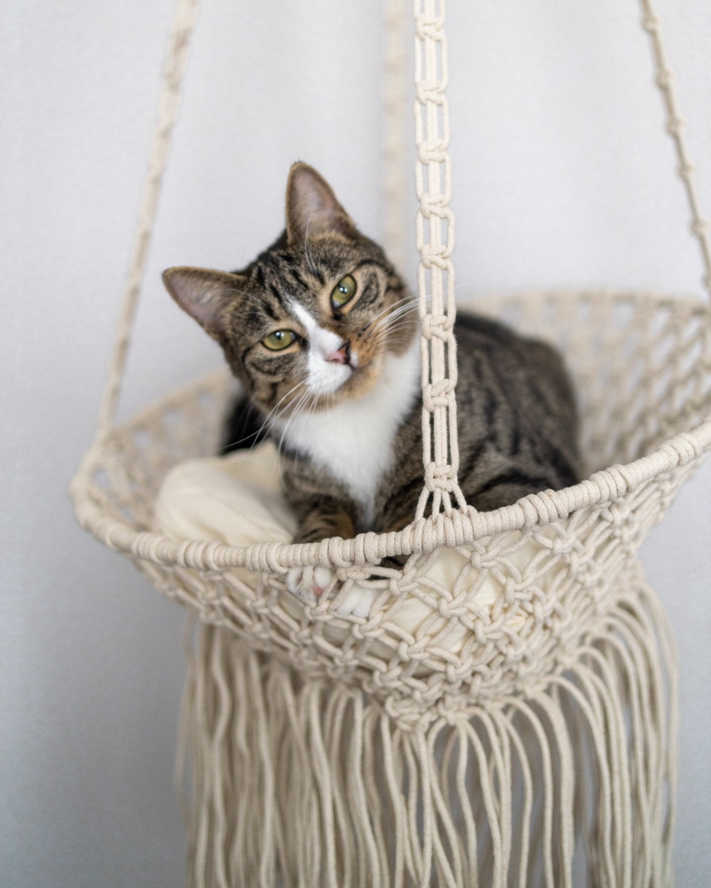 Louie Hanging Handmade Macrame Cat Bed 78 Today Only YaYa Co