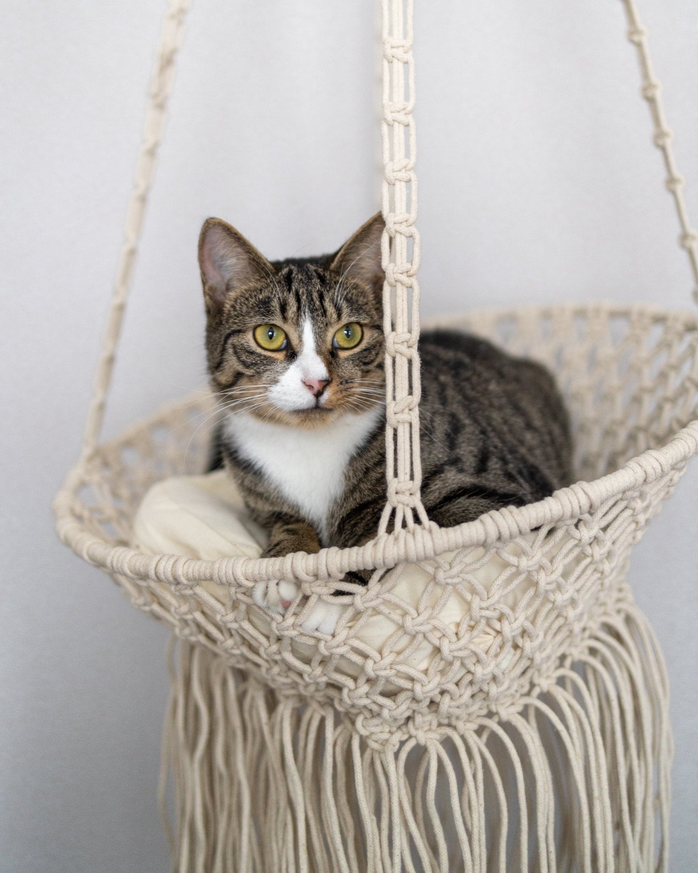 Louie Hanging Handmade Macrame Cat Bed YaYa Co