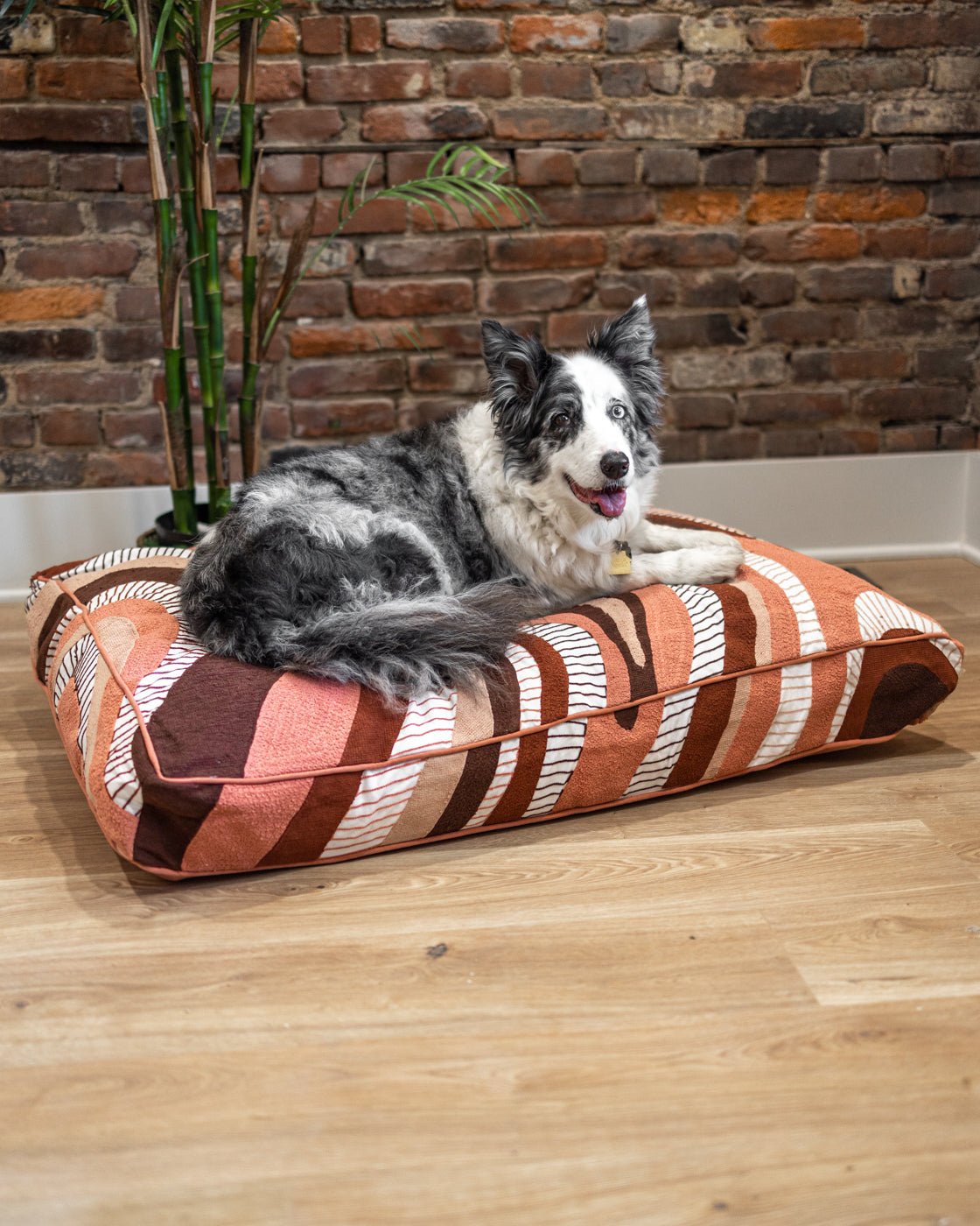 Large dog bed for german outlet shepherd