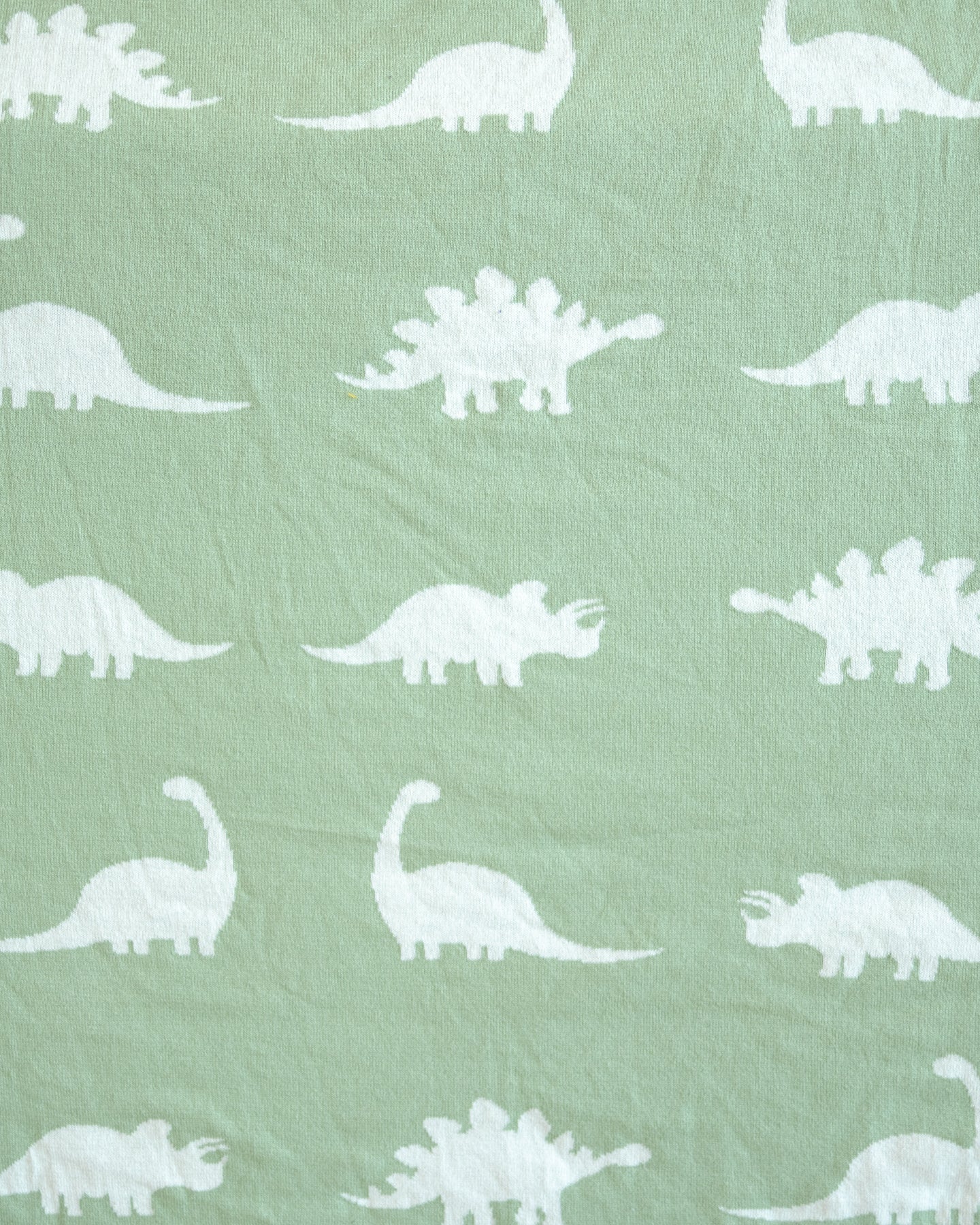 Dinosaur kids online blanket